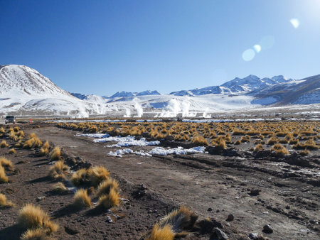 Geyser del Tatio, Atacama Desert, Chile: Geyser in the morning erupting activity in the Geysers del Tatio field in the Atacama Desert, Chile.の写真素材
