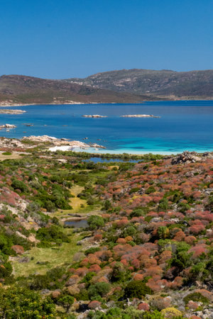 beach with stones and blue seaの写真素材