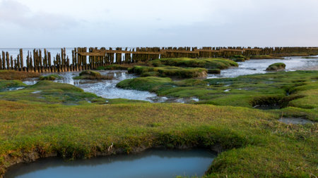 Dark storm clouds coastline Waddensea, Paesens Moddergat Frieslandの写真素材