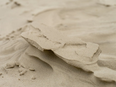 Wet sand with shell at beach coastline texture background. summer conceptの写真素材