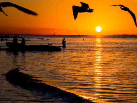 beautifal sunset at the shoreline, with boats, birds and persons at mexicoの写真素材
