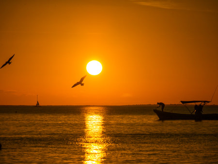 beautifal sunset at the shoreline, with boats, birds and persons at mexicoの写真素材