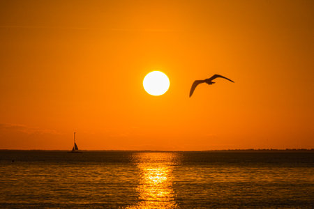 beautifal sunset at the shoreline, with boats, birds and persons at mexicoの写真素材
