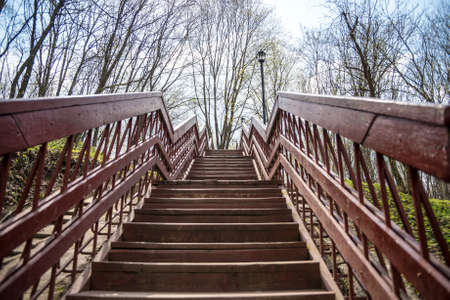 Beautiful wooden stairs in the blue sky. Stairs in the park. Stairs through trees.の写真素材
