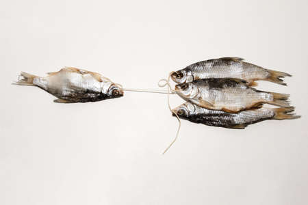 Dried fish on the table. Salty dry river fish on a white background. Dead dry salty fish - snack to beer. Isolated on white. .の写真素材