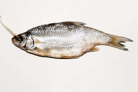 Dried fish on the table. Salty dry river fish on a white background. Dead dry salty fish - snack to beer. Isolated on white. .の写真素材