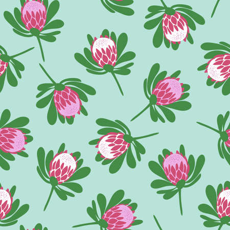 Tropical protea flowers seamless pattern on light green background illustrationのイラスト素材