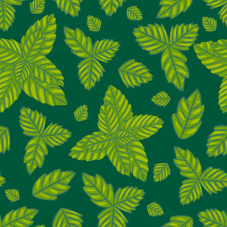 Mint herb vector repeat patternのイラスト素材