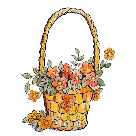 Basket with red flowers. Wattercolor, skech vector design elements. Isolated on white background. Vector illustrationのイラスト素材