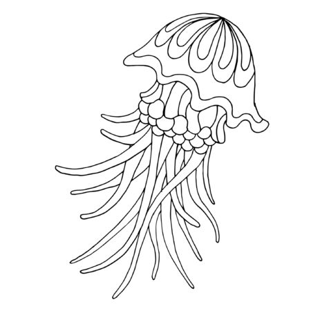 Hand drawn jelyfish. Vector illustrationのイラスト素材