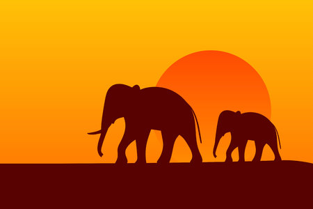 Savanna sunset background. Wildlife Background. African landscape with elephants silhouette. Vector illustrationのイラスト素材