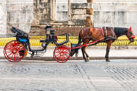 a horse attached to a carriage with red wheels, parked under a monument in Rome is waiting for tourists.の写真素材