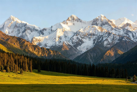 Mountain landscape with meadow and snow-capped peaks.の素材