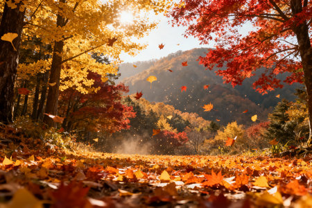 Beautiful autumn landscape with colorful forest and falling leaves. Indian summer.の素材