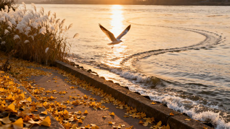 Seagull flying over the lake with autumn leaves on the groundの素材