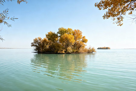 Trees in autumn colors on the shore of Lake Balaton, Hungaryの素材
