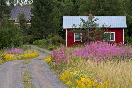 Small summer cottage with lots of flowers by the country roadの写真素材