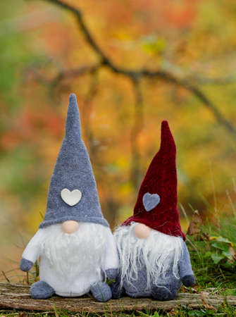 Two little gnomes in autumn forestの写真素材