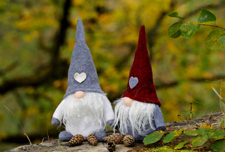 Two small gnomes in autumn forest