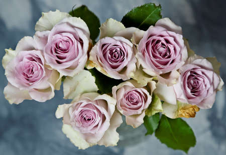 A bunch of pink beautiful rosesの写真素材