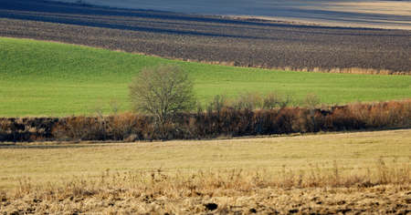 Long shadows created by the autumnal light in November on the fieldの写真素材