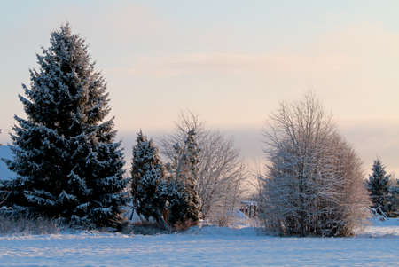 Wintry landscape with purple sky and cloudsの写真素材