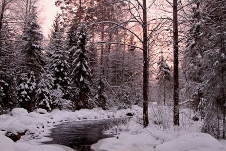 River flowing through the snowy forest landscape in sun setの写真素材