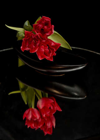 Red tulips in black bowl with mirror reflection and black backgroundの写真素材