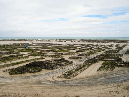 Oyster farming in Britain, Atlantic Ocean, Cancale.