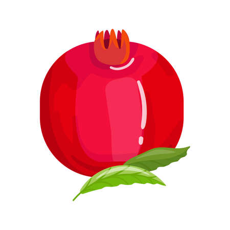 Pomegranate fruit is whole. Cartoon style. Vector illustration. Icon design isolated on white background.のイラスト素材