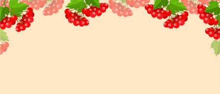 Viburnum is a symbol of Ukraine on the background of the landscape. Viburnum opulus. Guelder rose. Vector illustration.のイラスト素材