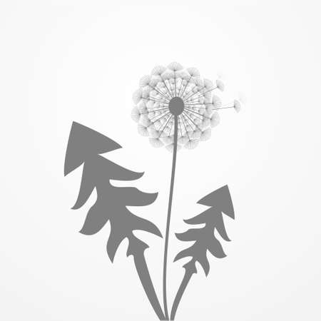 developmental dandelion in the wind,vector illustrationのイラスト素材