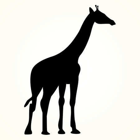 giraffe icon on the background,vector illustrationのイラスト素材