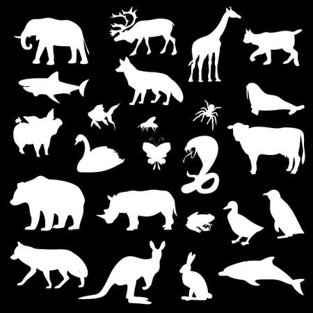 set of silhouettes of animals on the background,vector illustrationのイラスト素材
