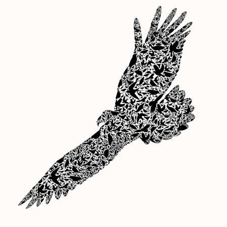 eagle composite of bird ,vector illustrationのイラスト素材