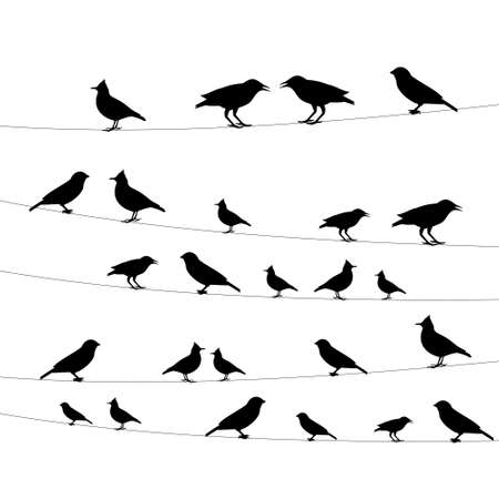birds on a wire icon,vector illustrationのイラスト素材