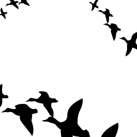 ducks flying South,illustrationのイラスト素材