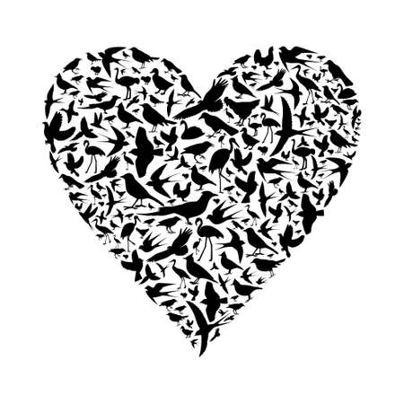 birds are different ,vector illustrationのイラスト素材