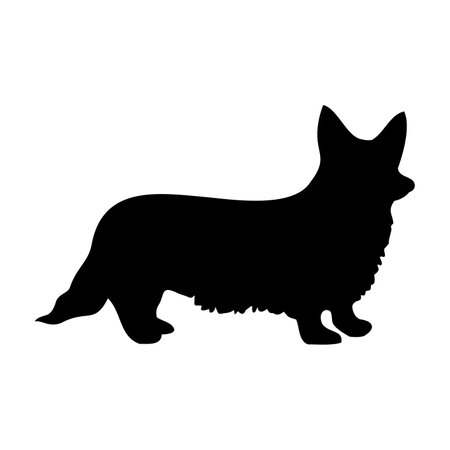 Corgi dog,vector illustrationのイラスト素材