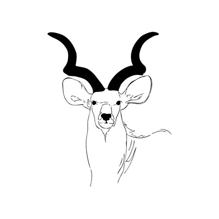 deer with beautiful horns vector illustrationのイラスト素材