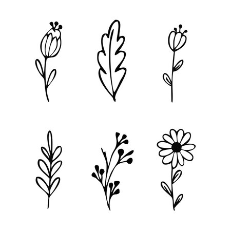 different flowers,vector illustrationのイラスト素材