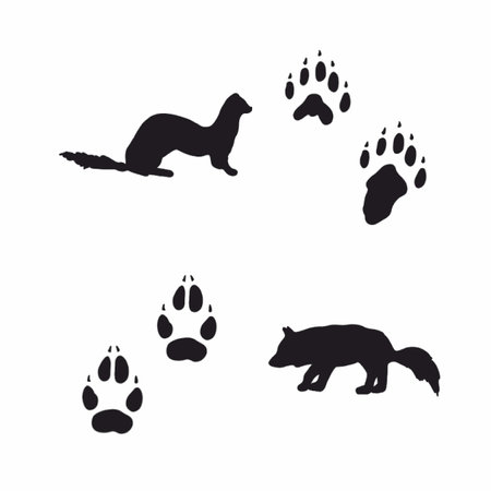 animal tracksのイラスト素材