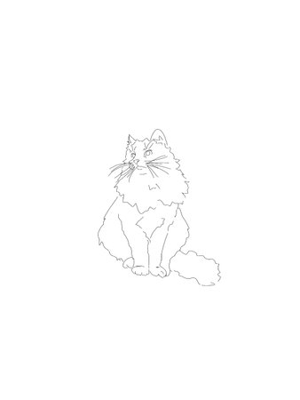 black cat vector illustrationのイラスト素材