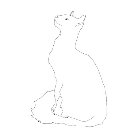 cat is blackのイラスト素材