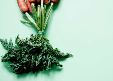 Carrotの写真素材