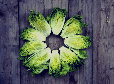 Lettuceの写真素材