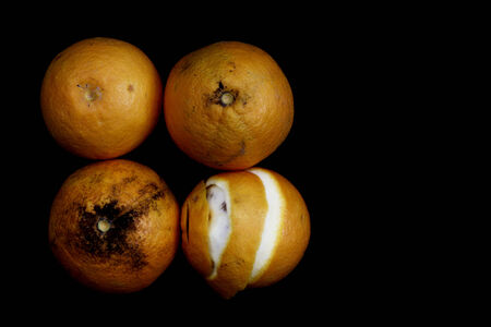Image on a fruitの写真素材