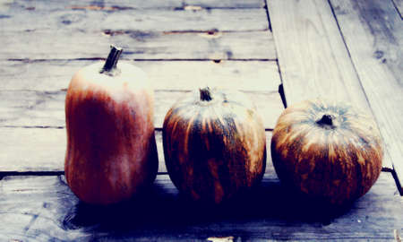 Image on a pumpkinの写真素材