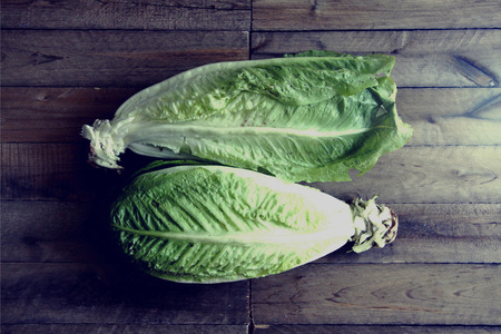 vegetable
の写真素材