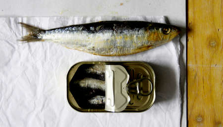 fish in various base plates
の写真素材